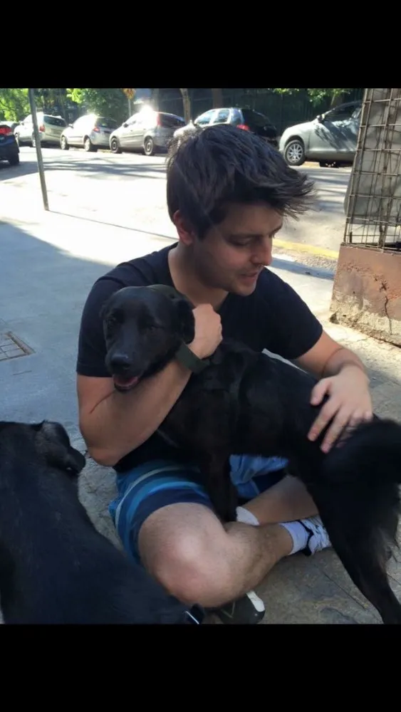 Cachorro raça Sde idade 3 anos nome Spike 