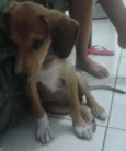 BUGG
