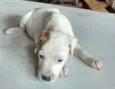 s/ nome "bebe"
