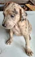s/ nome "bebe"