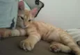 Jorge