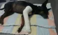 Nao sei