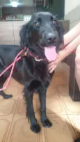Penélope