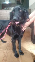 Penélope