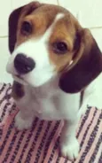 Baby