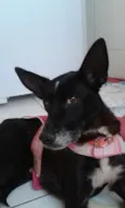 Neguinha