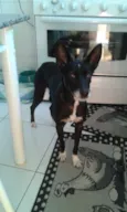 Neguinha