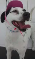Bianca