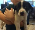 Berila