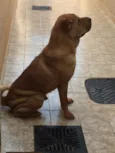 Nik 