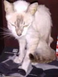 Milka