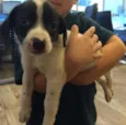 Berila