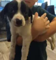 Berila