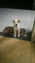 Nicky