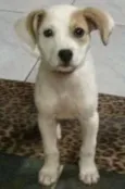 Nicky
