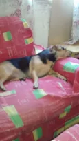 Kiko