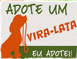 Cachorro raça SRD idade 1 ano nome Quer se livrar da s