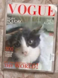 A gata da capa