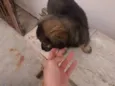 CHOCOLATÃO