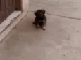 CHOCOLATÃO