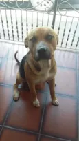 Pablo