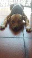 Pablo