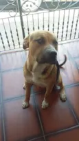 Pablo