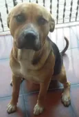 Pablo