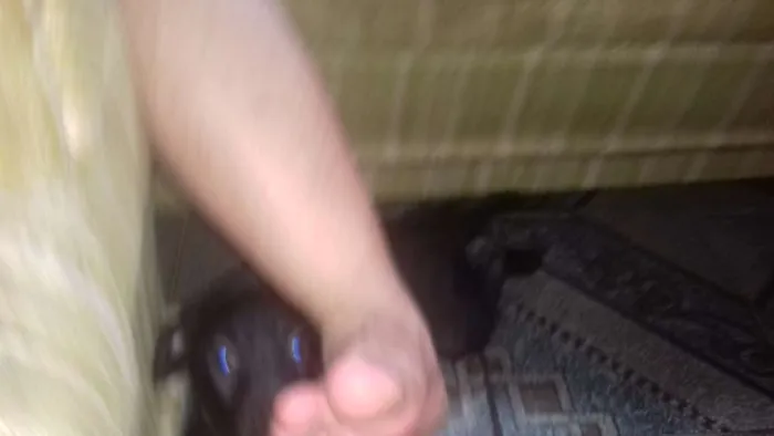 Cachorro ra a Não sei idade 2 a 6 meses nome Spayk