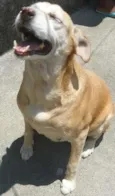 Nina