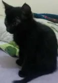 Menino