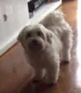 Nick