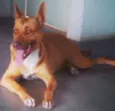 Kika