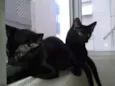 Faísca e Fumaça