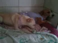 tubaina/ sorriso