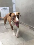 DALILA