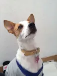 Nina
