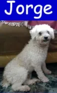 Jorge