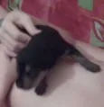 bebê