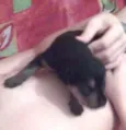 bebê