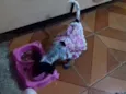Harley