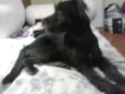 Tobby