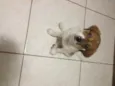 Sam