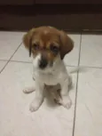 Sam