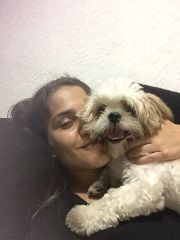 Cachorro ra a Shitzu idade 7 a 11 meses nome Tequila