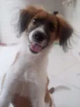 Billy
