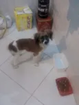 Billy