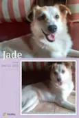 Jade