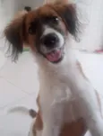 Billy