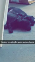 Sem nome